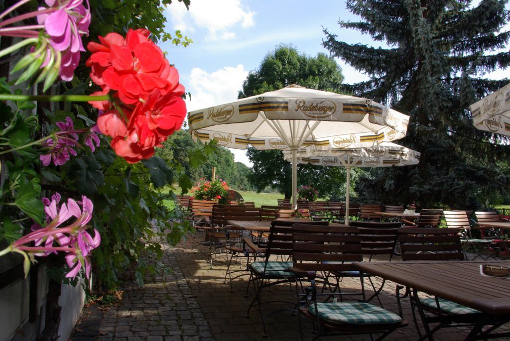 Hotel In Der Muhle Werdau Buitenkant foto